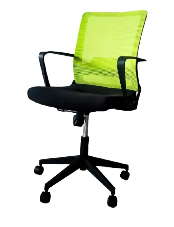 Ergonomic Mesh Office Chair with Lumbar Support - Green